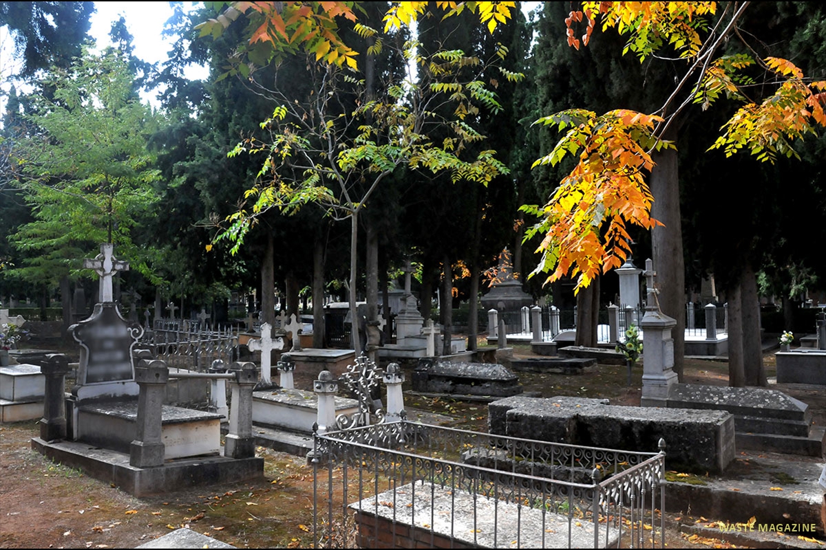 cementerio-fauna-flora-11