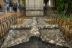 cementerio-fauna-flora-01