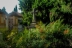 cementerio-fauna-flora-03