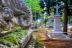 cementerio-fauna-flora-04