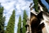 cementerio-fauna-flora-09