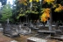 cementerio-fauna-flora-11