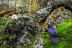 cementerio-fauna-flora-14