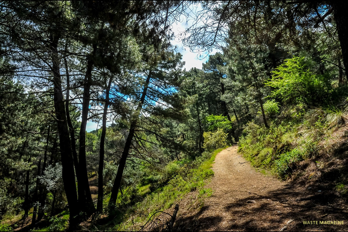 cerro-maullo-trincheras-13