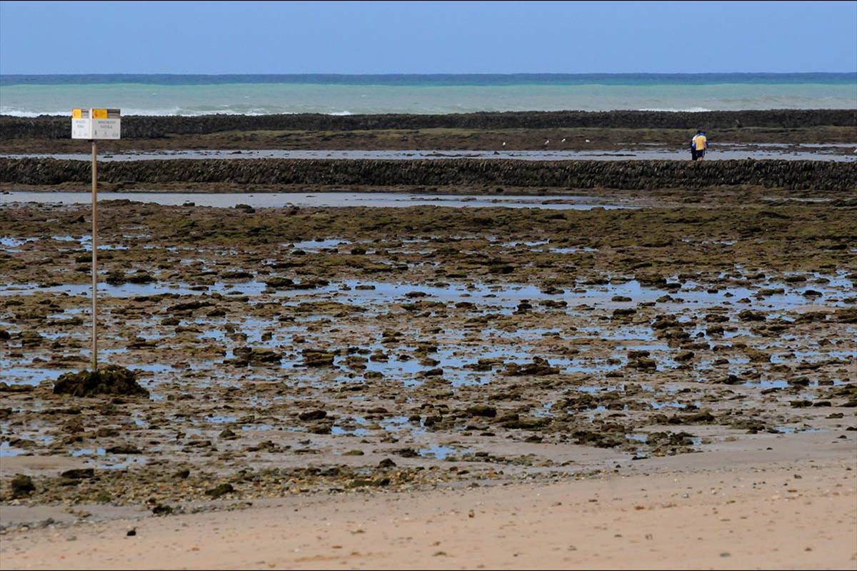 CORRALES_DE_ROTA-03