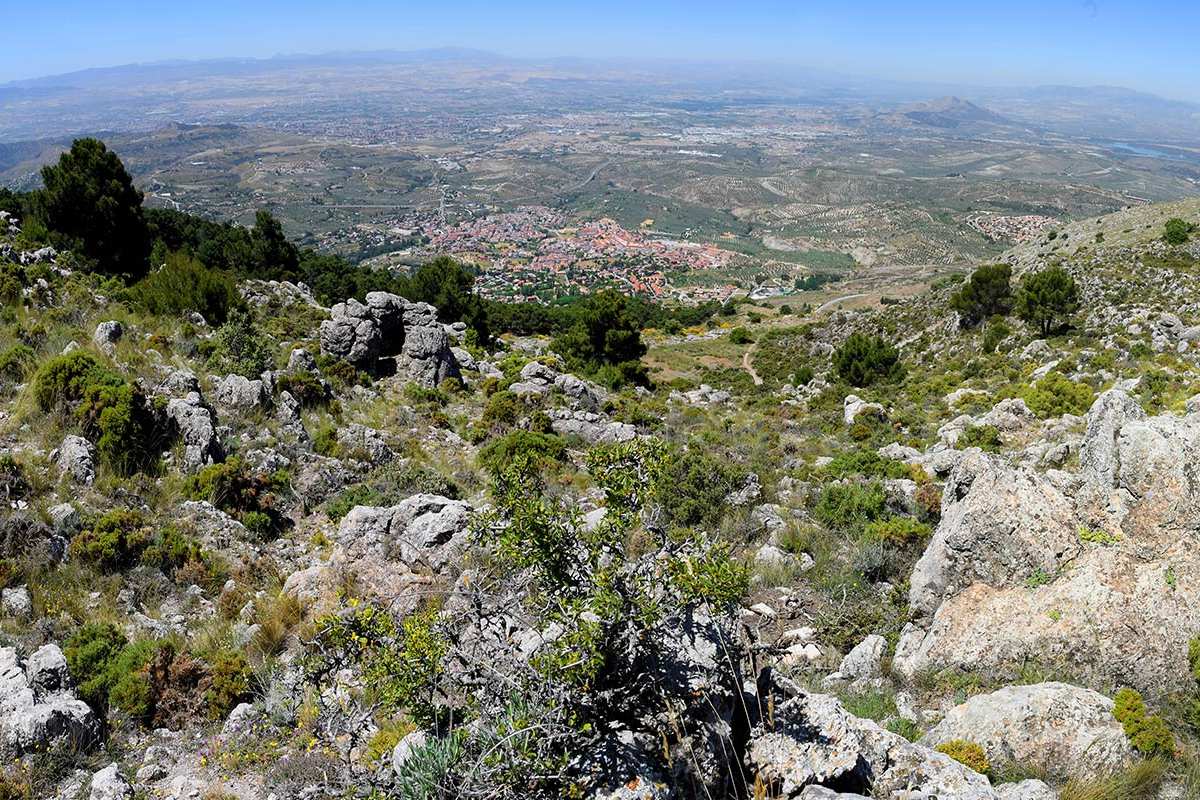 cruz-de-alfacar-ruta-04