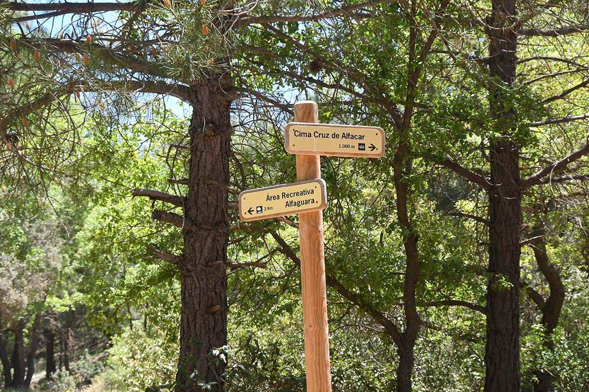 cruz-de-alfacar-ruta-05