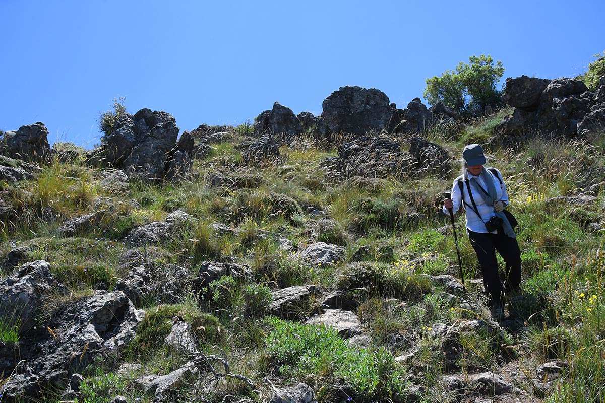 cruz-de-alfacar-ruta-06