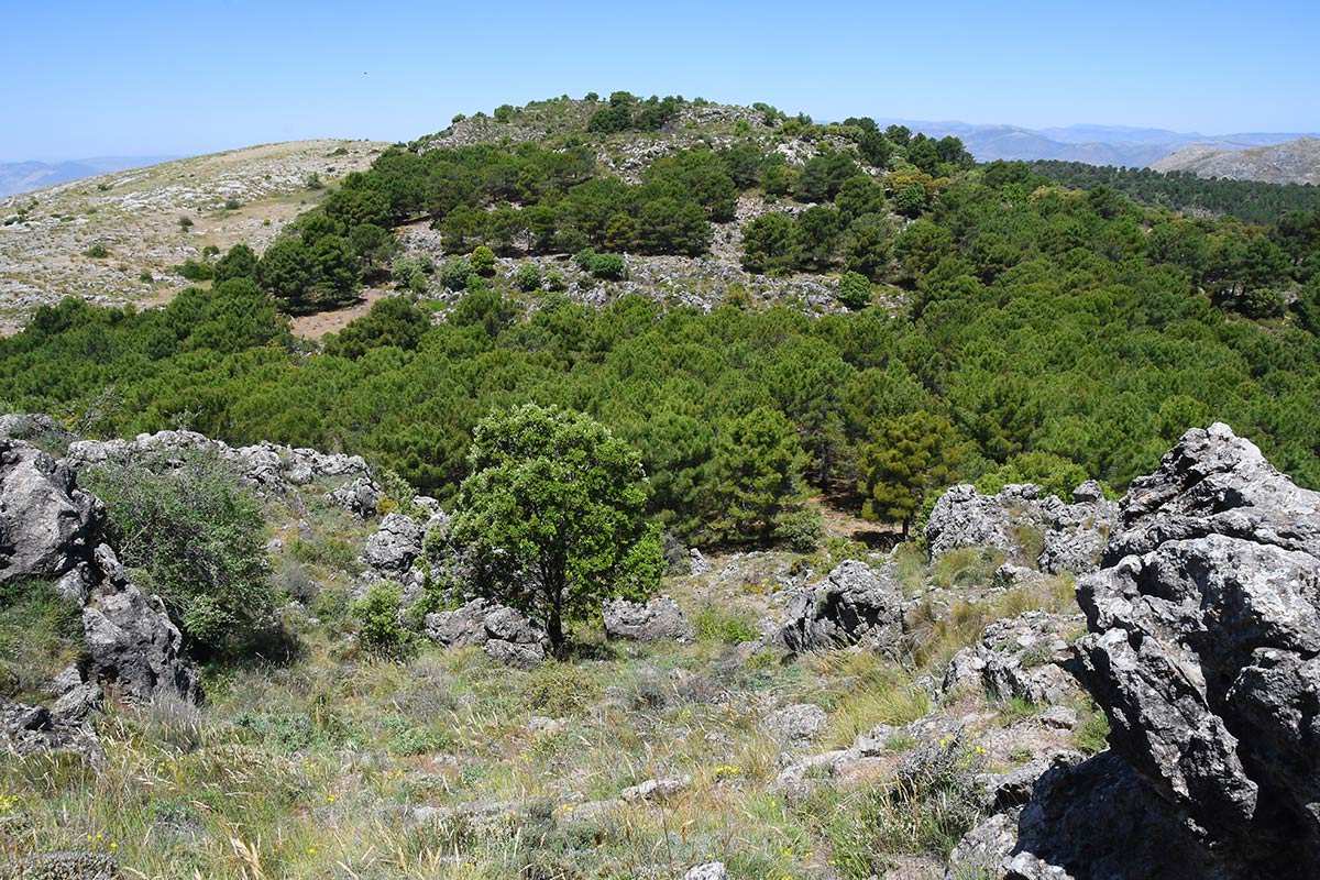 cruz-de-alfacar-ruta-07