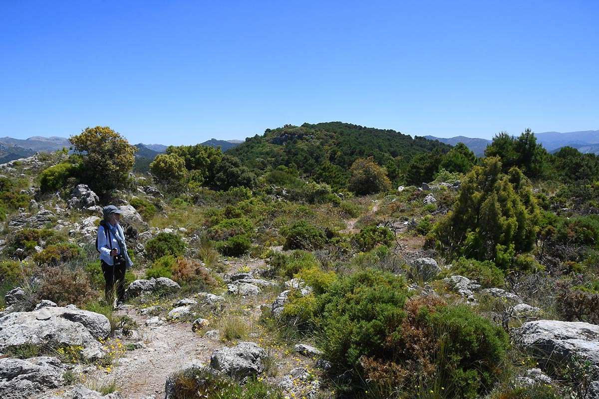 cruz-de-alfacar-ruta-14