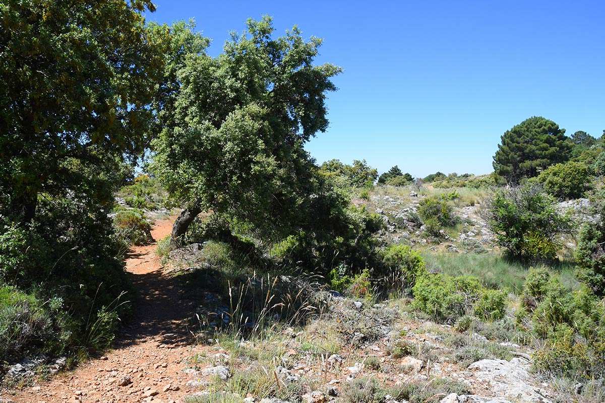 cruz-de-alfacar-ruta-18