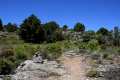 cruz-de-alfacar-ruta-15