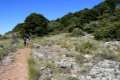 cruz-de-alfacar-ruta-17