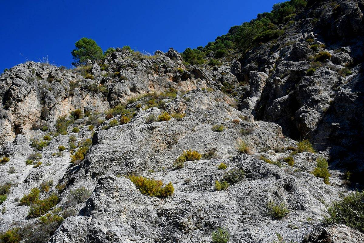 Darro-nacimiento-sendero-021