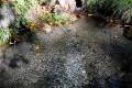 Darro-nacimiento-sendero-019