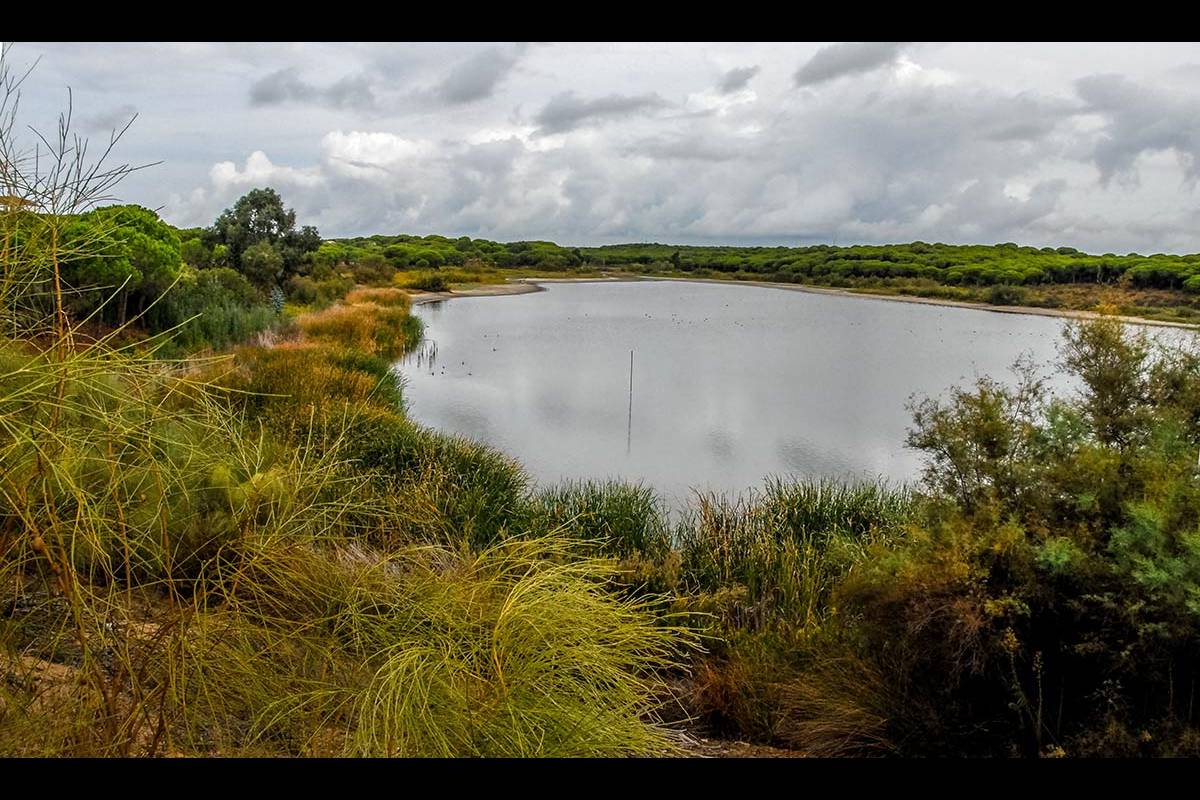Laguna del Portil
