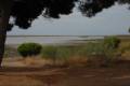 Marismas del río Piedras - El Rompido