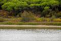Laguna del Portil
