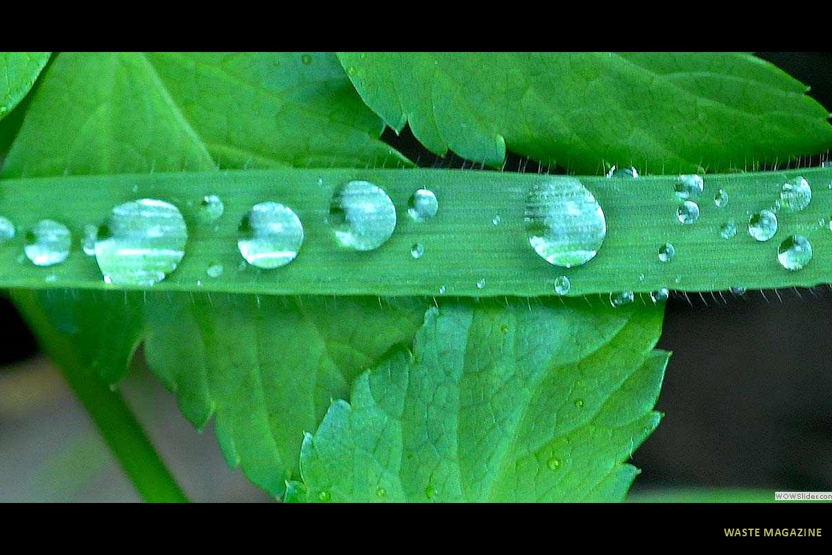 gotasdelluvia2