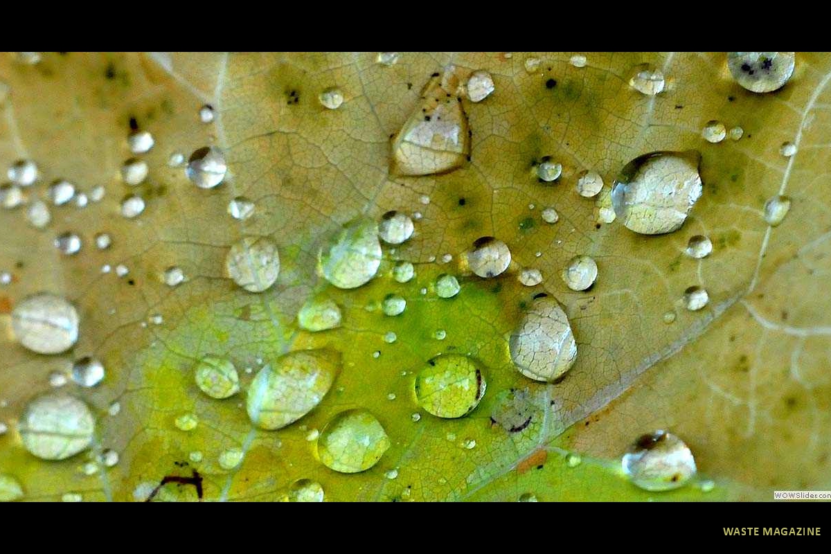 gotasdelluvia3