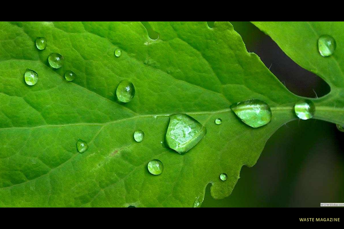 gotasdelluvia5