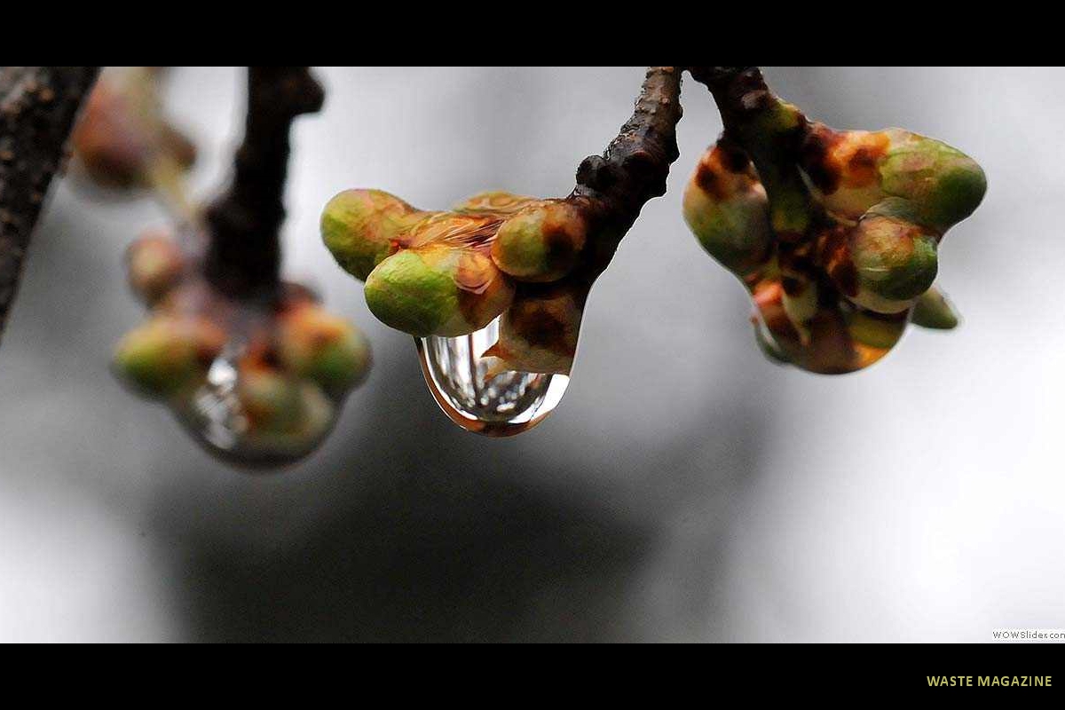 gotasdelluvia6