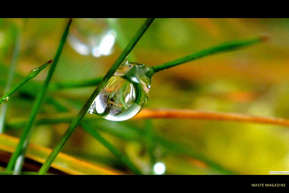 gotasdelluvia7
