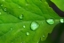 gotasdelluvia5