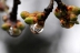 gotasdelluvia6