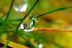gotasdelluvia7