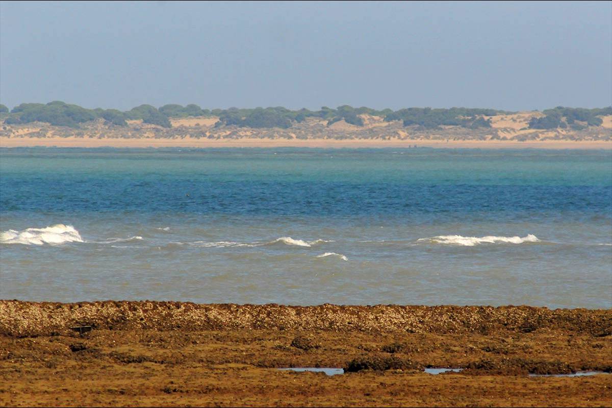 chipiona-guadalquivir23
