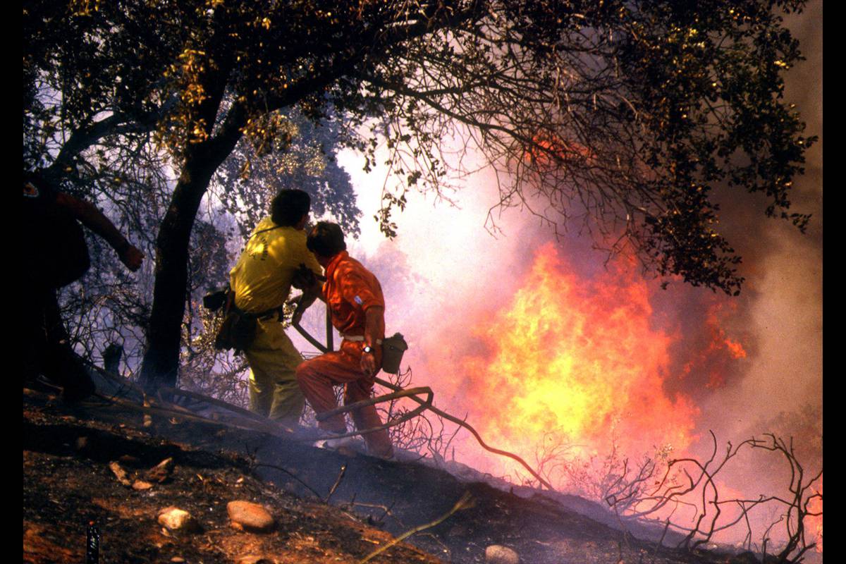 INCENDIOS FORESTALES