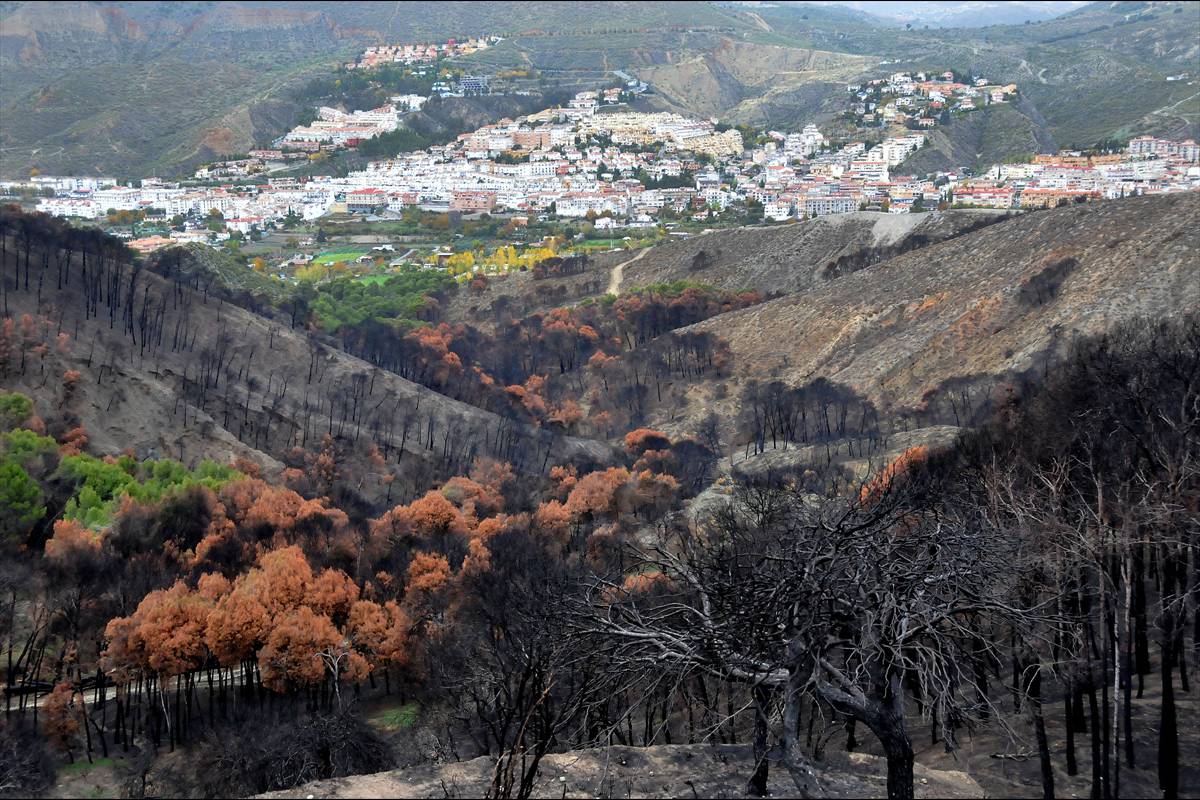 INCENDIO-CENES2)