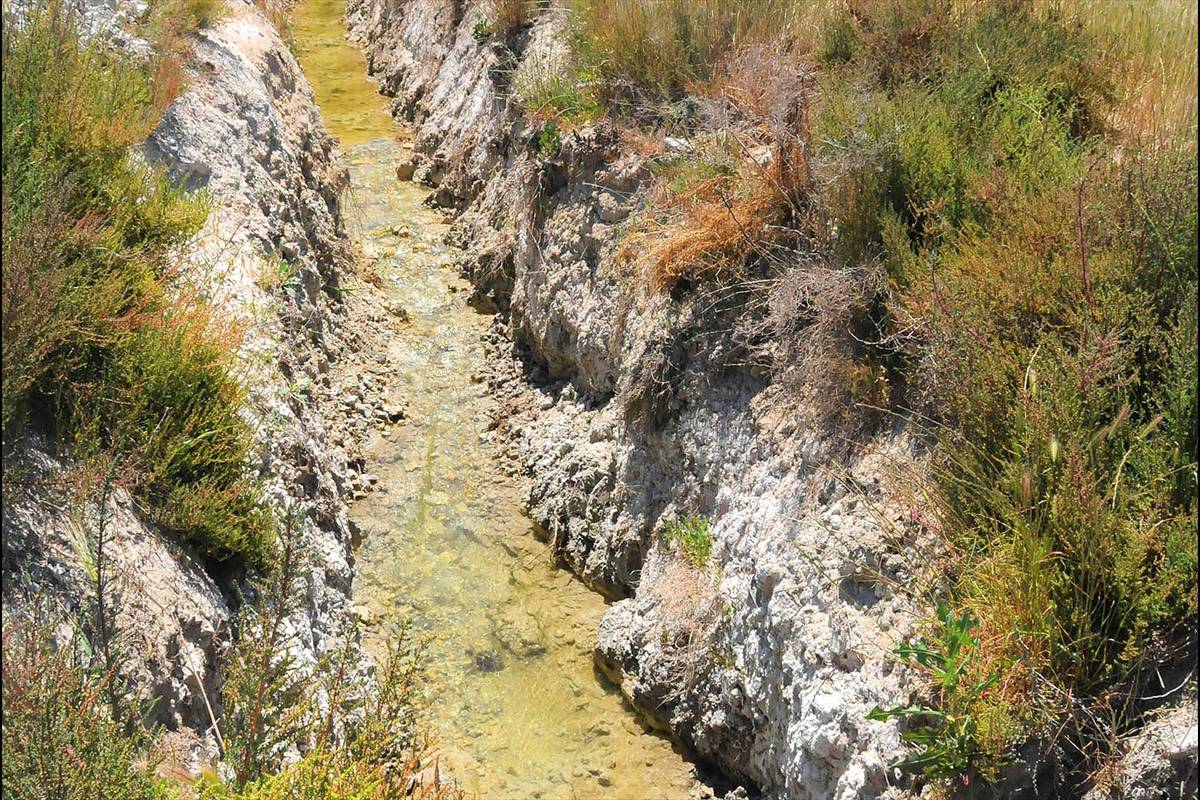CANALES DESECACIÓN BAICO