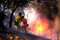 INCENDIOS FORESTALES
