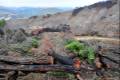 INCENDIO-CENES-1
