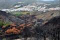 INCENDIO-CENES2)