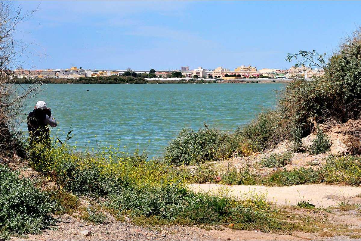 Laguna de Las Norias (Almería)