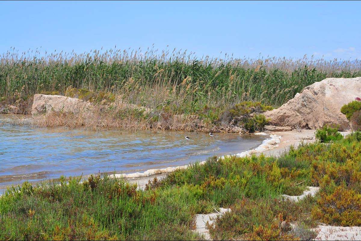 Salinas de Punta Entinas (Almería)
