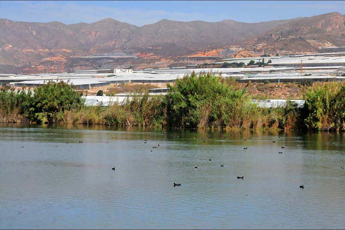 Albufera de Adra (Almería)
