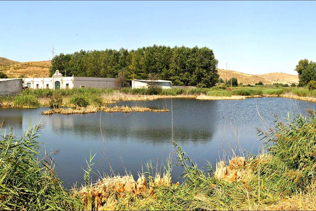Laguna de Agia (Padul)