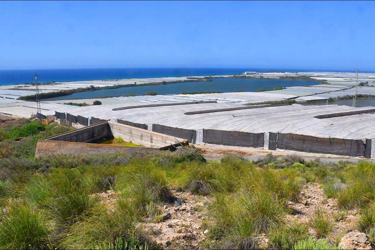 Albufera de Adra (Almería)