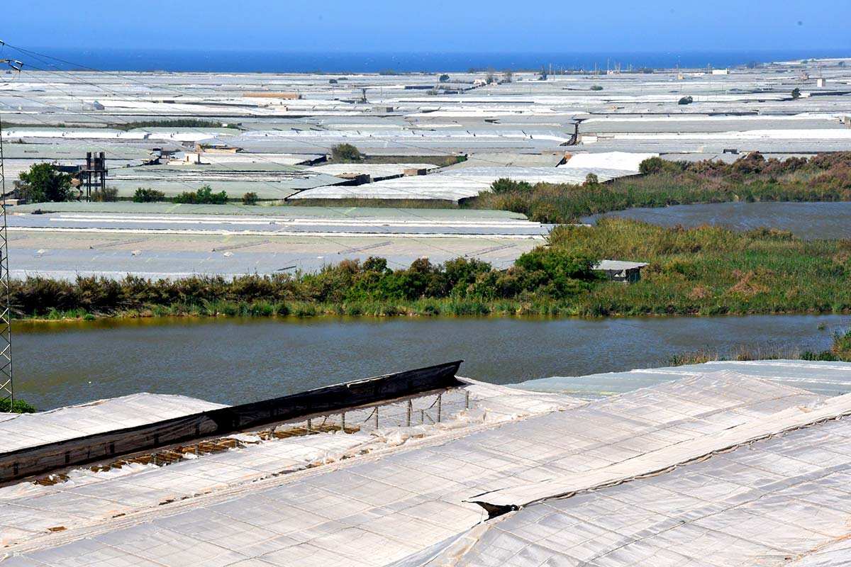Albufera de Adra (Almería)