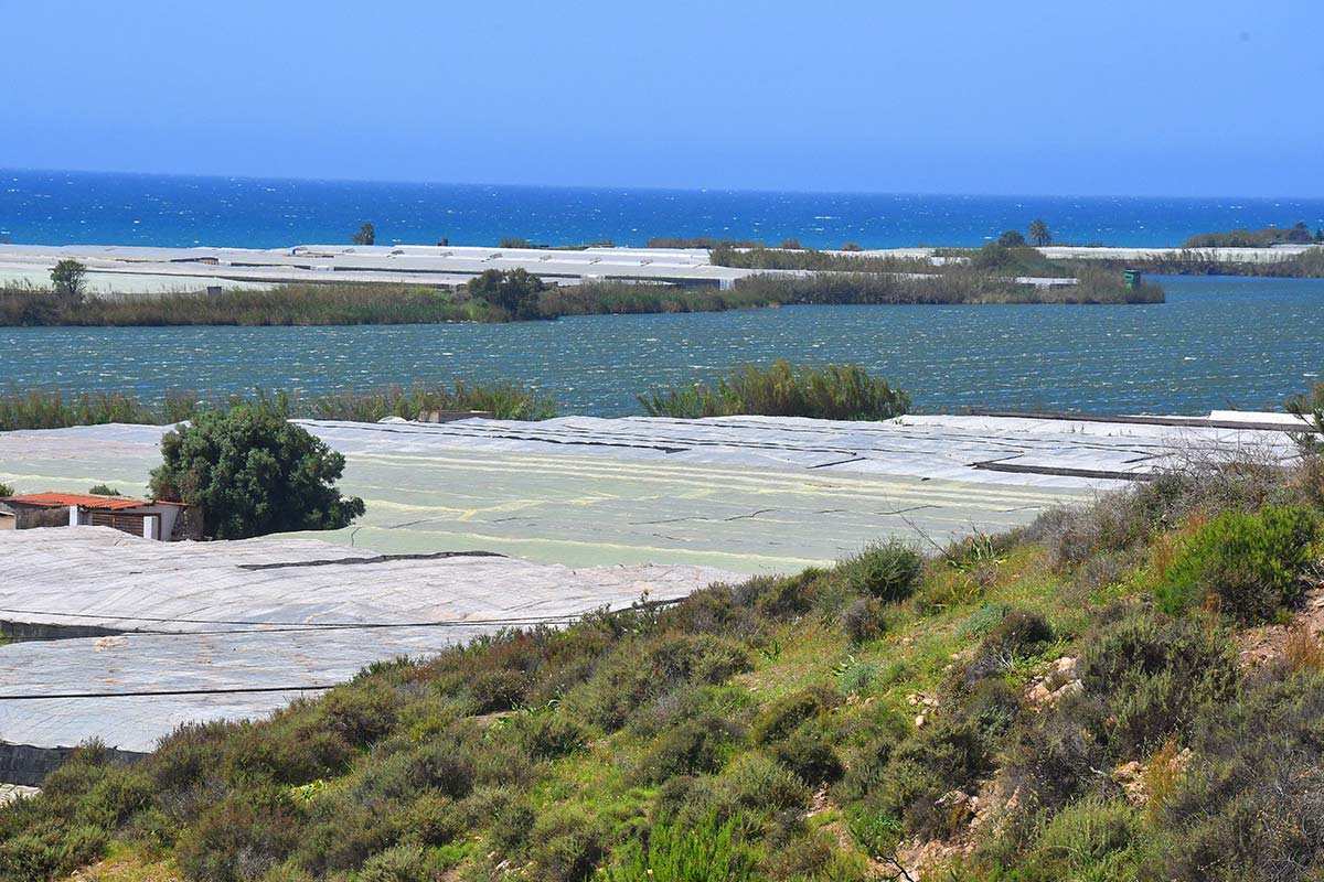 Albufera de Adra (Almería)