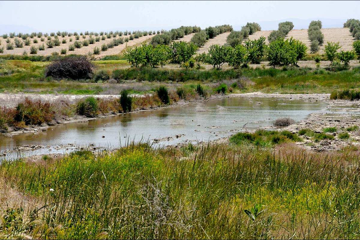 Humedal de Baico (Granada)