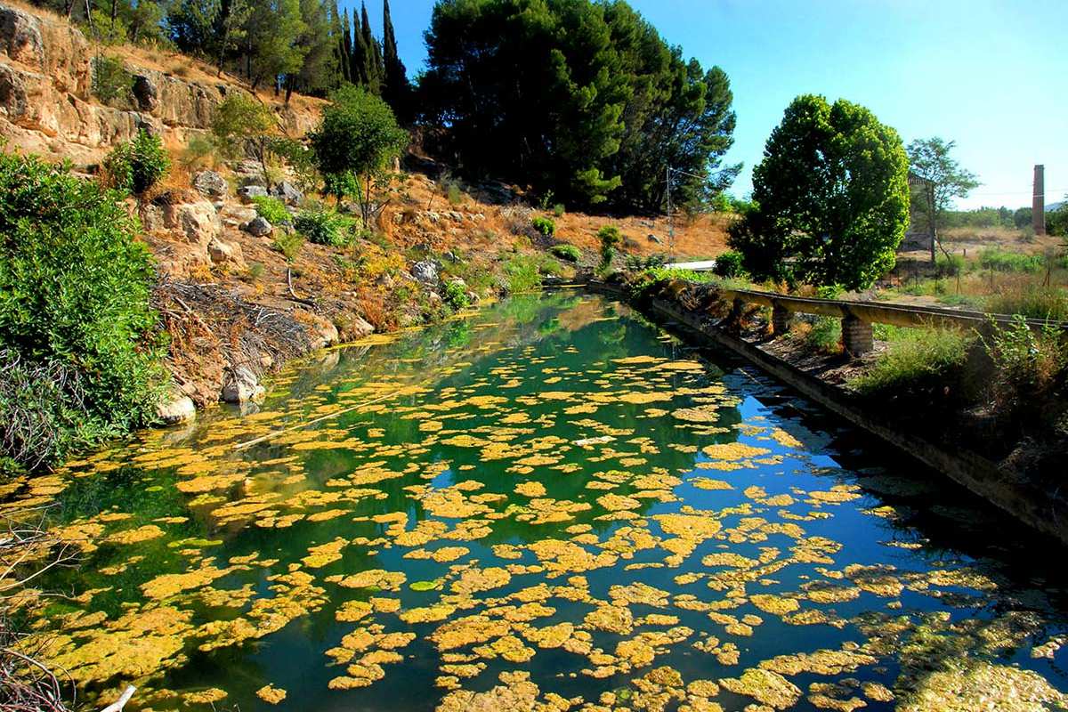 Laguna Los Arenales (Granada)