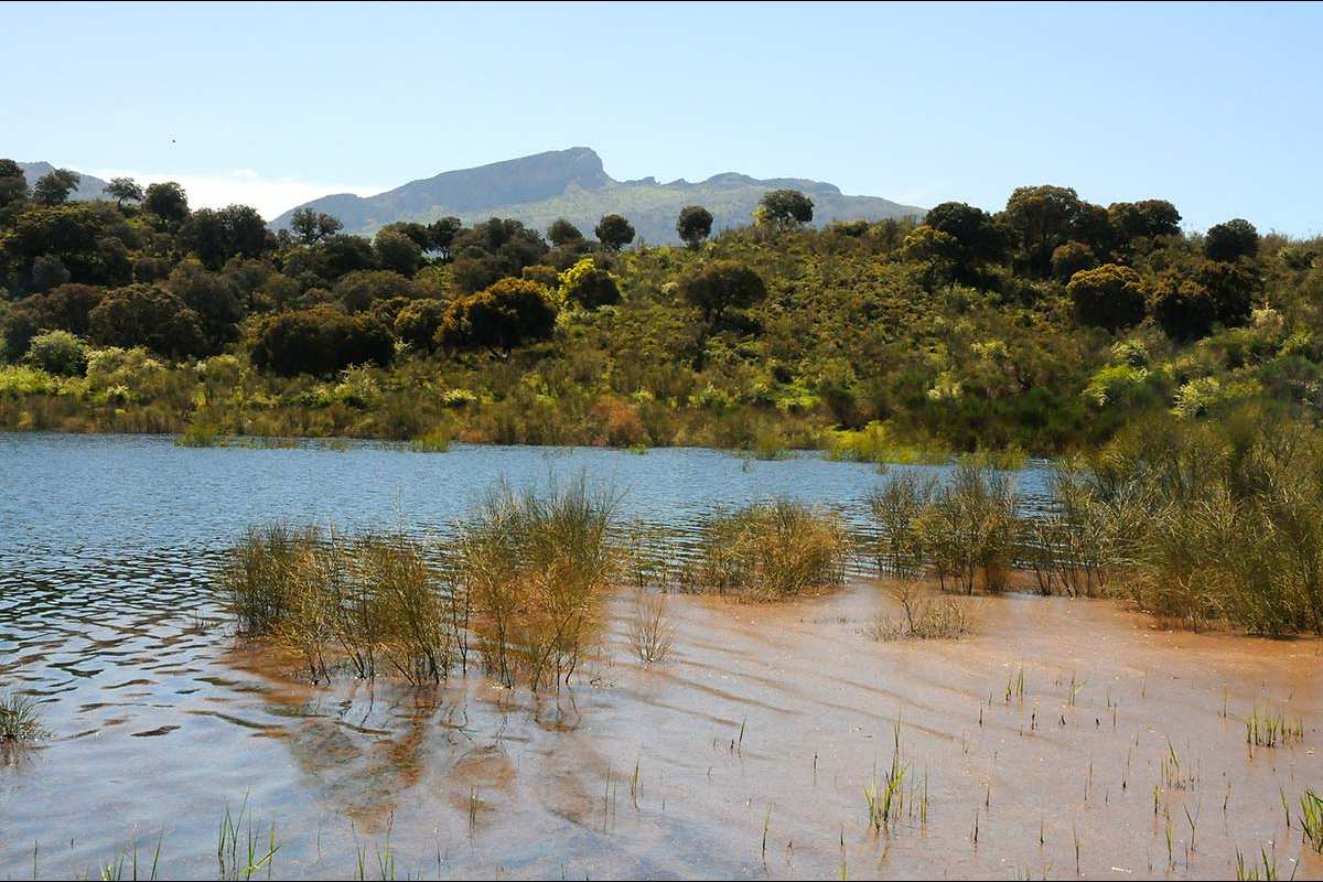 Lagunas de ARchidona (Granada - Málaga)