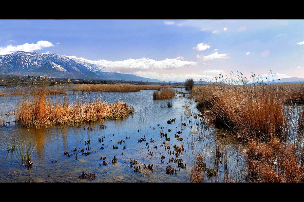 Lagunas y turberas de Padul (Granada)