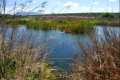 Laguna Grande de Albolote (Granada)