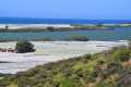 Albufera de Adra (Almería)